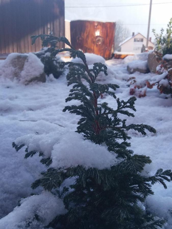 Kray Dorogy Villa Jaremtsje Buitenkant foto